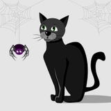 Schwarze Halloween-Katze betrachtet Spinne lizenzfreie abbildung Schwarze Halloween-Katze betrachtet Spinne lizenzfreie abbildung