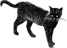 Schwarze Katze lizenzfreie abbildung Schwarze Katze lizenzfreie abbildung