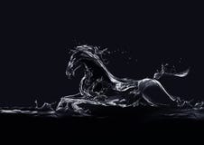Schwarzes Wasser-Pferd Schwarzes Wasser-Pferd