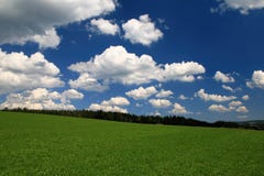 Schwarzwaldwanderung unter blauem Himmel Royalty Free Stock Photography Schwarzwaldwanderung unter blauem Himmel Royalty Free Stock Photography