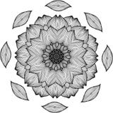Schwarzweißabbildung einer Mandala - eine Blume des Lebens chrysantheme stock abbildung Schwarzweißabbildung einer Mandala - eine Blume des Lebens chrysantheme stock abbildung
