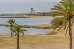 Schöne Ansicht von Barceloneta-Strand mit Palmen lizenzfreie stockbilder Schöne Ansicht von Barceloneta-Strand mit Palmen lizenzfreie stockbilder
