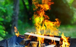 Sch?ne helle gelbe Flamme von den Scheibenholzkohlen innerhalb der Metallmessingarbeiter-Feuervorbereitung, die Grill kocht stockbilder Sch?ne helle gelbe Flamme von den Scheibenholzkohlen innerhalb der Metallmessingarbeiter-Feuervorbereitung, die Grill kocht stockbilder