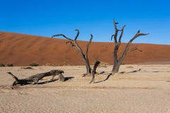 Schöne Landschaft von verstecktem Vlei im Panorama Namibischer Wüste Lizenzfreie Stockfotos Schöne Landschaft von verstecktem Vlei im Panorama Namibischer Wüste Lizenzfreie Stockfotos