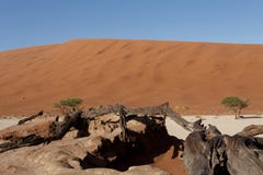 Schöne Landschaft von verstecktem Vlei im Panorama Namibischer Wüste Stockfotografie Schöne Landschaft von verstecktem Vlei im Panorama Namibischer Wüste Stockfotografie