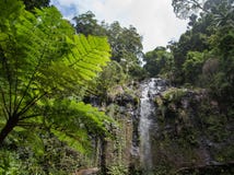 Schöne Landschaftsansicht eines Waldes mit netten Bäumen und Wasserfall stockfoto Schöne Landschaftsansicht eines Waldes mit netten Bäumen und Wasserfall stockfoto