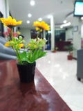 schöne Plastikblumen im Büro stockfotografie schöne Plastikblumen im Büro stockfotografie
