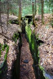 Schöne Waldlandschaft mit der großen grünen moosigen Schlucht auf den Leisten überschreiten in Cuyahoga-Tal nahe Cleveland, Ohio, lizenzfreies stockbild Schöne Waldlandschaft mit der großen grünen moosigen Schlucht auf den Leisten überschreiten in Cuyahoga-Tal nahe Cleveland, Ohio, lizenzfreies stockbild
