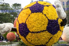 Schöner Fußball gebildet von der Blume in HK stockfoto Schöner Fußball gebildet von der Blume in HK stockfoto