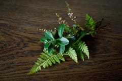 Schöner Herbstblumenstrauß der letzten Grünpflanzen auf einer Holzoberfläche Lingonberrybl?tter, Farnbl?tter und Heidezweige Naha lizenzfreie stockfotografie Schöner Herbstblumenstrauß der letzten Grünpflanzen auf einer Holzoberfläche Lingonberrybl?tter, Farnbl?tter und Heidezweige Naha lizenzfreie stockfotografie