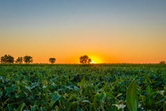 Schöner Sonnenaufgang über der serbischen Landschaft stockbilder Schöner Sonnenaufgang über der serbischen Landschaft stockbilder