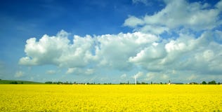 Schönes Landschaftspanorama Schönes Landschaftspanorama