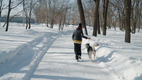 Schönes Mädchen, das mit Hund spielt Schönes Mädchen, das mit Hund spielt