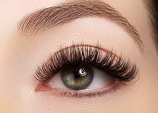 Schönes weibliches Auge mit den extremen langen Wimpern, schwarzes Zwischenlagenmake-up Perfektes Make-up, lange Peitschen Nahauf Schönes weibliches Auge mit den extremen langen Wimpern, schwarzes Zwischenlagenmake-up Perfektes Make-up, lange Peitschen Nahauf