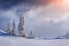 Schönes Winter sinrise in den nebeligen Bergen stockfotos Schönes Winter sinrise in den nebeligen Bergen stockfotos