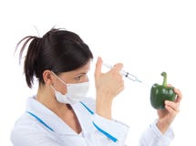 Scientifique injectant le mélange de seringue dans le poivron doux vert photo libre de droits Scientifique injectant le mélange de seringue dans le poivron doux vert photo libre de droits