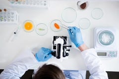 Scientifique masculin pendant le travail au laboratoire biologique moderne image stock Scientifique masculin pendant le travail au laboratoire biologique moderne image stock