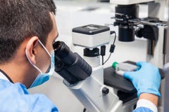 Scientifique masculin regardant la culture cellulaire sous le microscope image stock Scientifique masculin regardant la culture cellulaire sous le microscope image stock