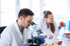 Scientifiques avec des légumes dans le laboratoire photographie stock Scientifiques avec des légumes dans le laboratoire photographie stock
