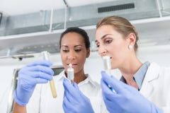 Scientifiques dans le laboratoire de recherches avec analyser l'instrument photo libre de droits Scientifiques dans le laboratoire de recherches avec analyser l'instrument photo libre de droits