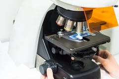 A scientist looking cell morphology of cell culture royalty free stock images A scientist looking cell morphology of cell culture royalty free stock images