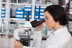 Scientist young woman using a microscope in science laboratory Royalty Free Stock Photos Scientist young woman using a microscope in science laboratory Royalty Free Stock Photos