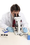 Scienziato che studia trasparenza sotto il microscopio fotografia stock libera da diritti Scienziato che studia trasparenza sotto il microscopio fotografia stock libera da diritti