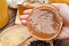 Scoby, mão que guarda o cogumelo do chá com chá do kombucha, alimento fermentado saudável, bebida probiótico da nutrição foto de stock Scoby, mão que guarda o cogumelo do chá com chá do kombucha, alimento fermentado saudável, bebida probiótico da nutrição foto de stock