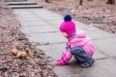 Scoiattolo d'alimentazione della bambina con i dadi in foresta fotografia stock Scoiattolo d'alimentazione della bambina con i dadi in foresta fotografia stock