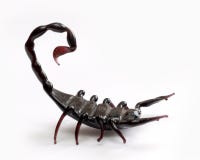 Scorpio. A black Scorpio from glass royalty free stock photo Scorpio. A black Scorpio from glass royalty free stock photo