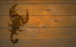Scorpio. Sign of Scorpio on the wooden texture suitable for background royalty free stock images Scorpio. Sign of Scorpio on the wooden texture suitable for background royalty free stock images