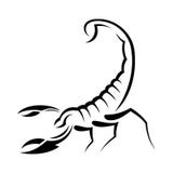 Scorpione illustrazione vettoriale Scorpione illustrazione vettoriale