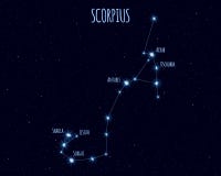Scorpius constellation, vector illustration with the names of basic stars stock illustration Scorpius constellation, vector illustration with the names of basic stars stock illustration