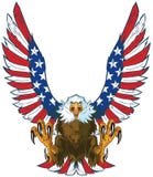Screaming Eagle With American Flag Wings Vector Clip Art Stock Photo Screaming Eagle With American Flag Wings Vector Clip Art Stock Photo