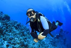 Scuba Diving stock image Scuba Diving stock image