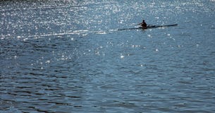 Sculler obrazy stock Sculler obrazy stock
