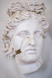 Sculpture du visage d'une belle femme grecque, en fissures Cadre vertical photos stock Sculpture du visage d'une belle femme grecque, en fissures Cadre vertical photos stock