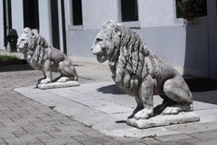 Scultura del leone in giardino italiano fotografie stock libere da diritti Scultura del leone in giardino italiano fotografie stock libere da diritti