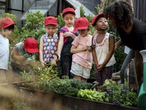 Scuola dei bambini e dell'insegnante che impara giardinaggio di ecologia fotografie stock libere da diritti Scuola dei bambini e dell'insegnante che impara giardinaggio di ecologia fotografie stock libere da diritti