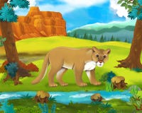 Scène de bande dessinée - animaux sauvages de l'Afrique - puma illustration de vecteur Scène de bande dessinée - animaux sauvages de l'Afrique - puma illustration de vecteur