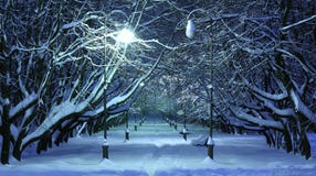 Scène de nuit de parc d'hiver Image libre de droits Scène de nuit de parc d'hiver Image libre de droits