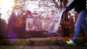 Scène drôle : l'homme porte son chien dans un chariot à supermarché banque de vidéos Scène drôle : l'homme porte son chien dans un chariot à supermarché banque de vidéos