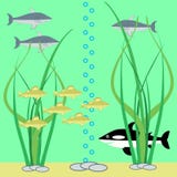 Scène sous-marine avec des poissons illustration stock Scène sous-marine avec des poissons illustration stock