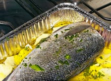 Sea Bass Stock Images