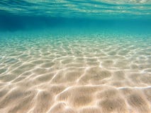 Sea Bottom Royalty Free Stock Image Sea Bottom Royalty Free Stock Image