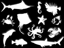 Sea-life Silhouette Royalty Free Stock Photography