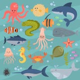 Sea life underwater cartoon animals cute marine characters fish aquarium tropical aquatic vector illustration. royalty free illustration Sea life underwater cartoon animals cute marine characters fish aquarium tropical aquatic vector illustration. royalty free illustration