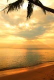 Sea ocean sunset landscape with golden clowds and palm tree Royalty Free Stock Image Sea ocean sunset landscape with golden clowds and palm tree Royalty Free Stock Image