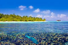 Sea Plane landing in The Maldives, Eden on Earth Royalty Free Stock Photos Sea Plane landing in The Maldives, Eden on Earth Royalty Free Stock Photos