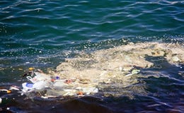 Sea pollution